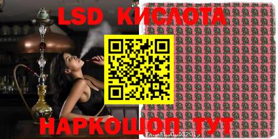 кокс Кингисепп