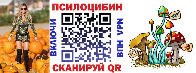 наркошоп  Лосино-Петровский  кракен как войти  Псилоцибиновые грибы Magic Shrooms 